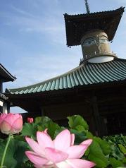 蓮花の浄土　萩生寺