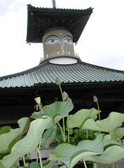 蓮花の浄土　萩生寺